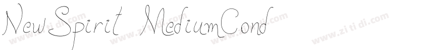 NewSpirit MediumCond字体转换